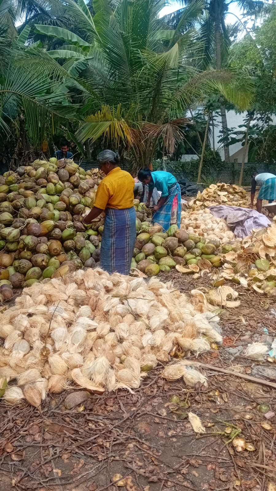 Truck loading - Sri Kamatchi Traders
