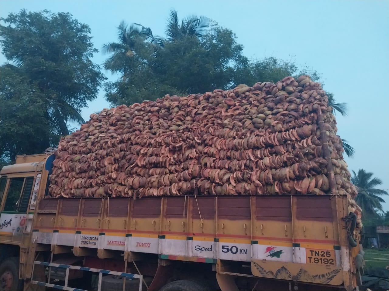 Copra drying - Sri Kamatchi Traders
