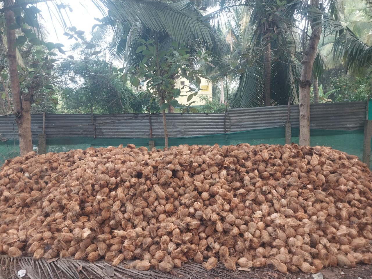 Shell sorting - Sri Kamatchi Traders