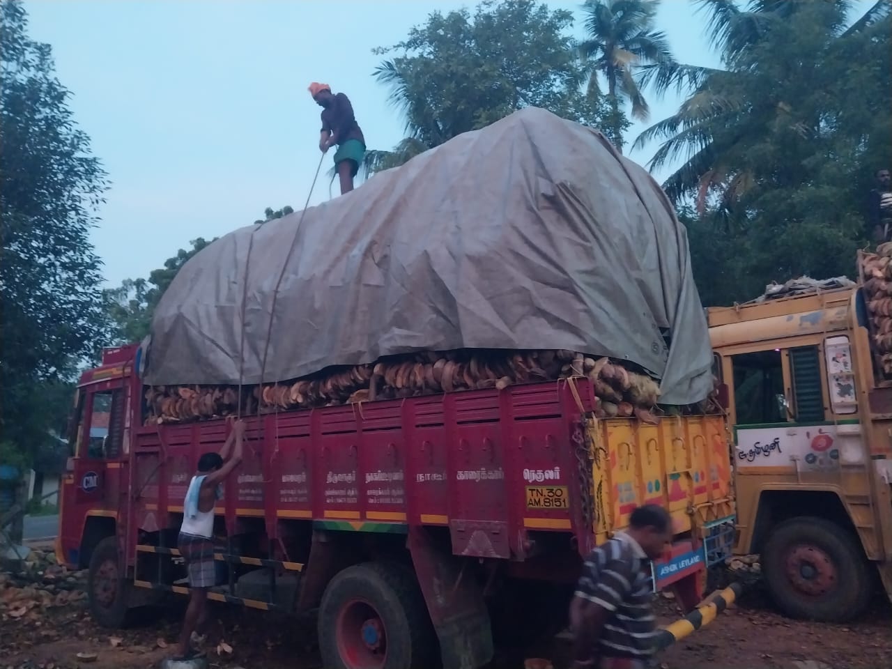 Wholesale lot - Sri Kamatchi Traders