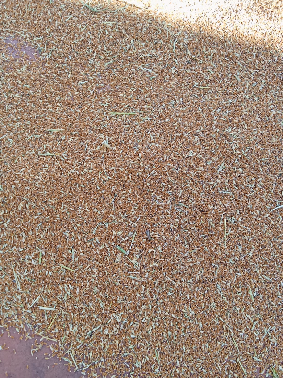 New Stock Batch - Sri Kamatchi Traders